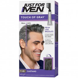 JUST FOR MEN TOUCH OF GRAY CASTANO LOOK BRIZZOLATO NATURALE AIR ACTIV g.40